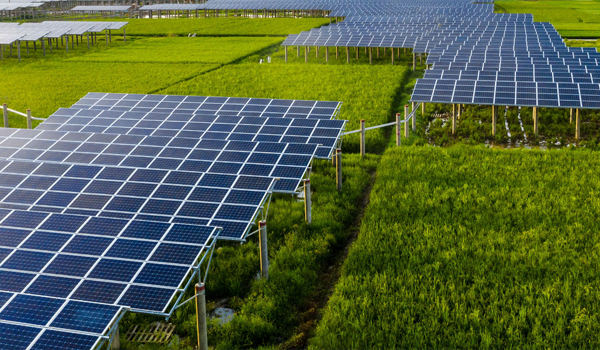Agriculture & Food Production